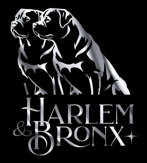 Harlem & Bronx