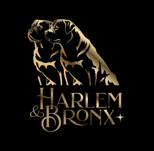Harlem & Bronx