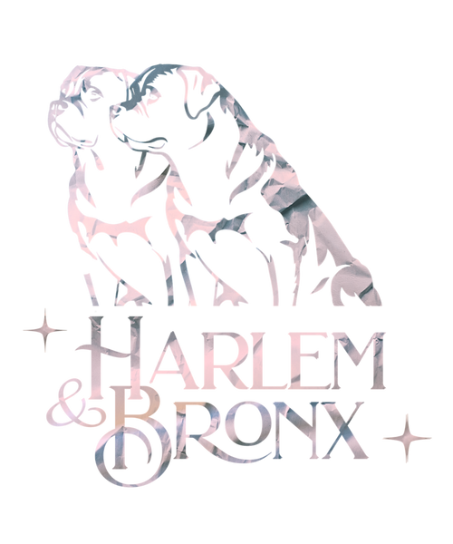 Harlem & Bronx
